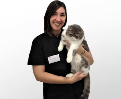 Carmen Muñoz Veterinario Sevilla Gatos Carmen Muñoz Veterinario Sevilla Gatos