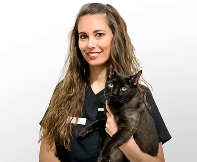 Inmaculada Borrallo Veterinario Sevilla Gatos Inmaculada Borrallo Veterinario Sevilla Gatos
